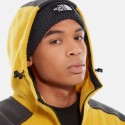 Bonnet The North Face Gris