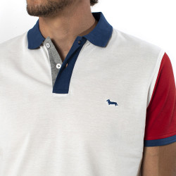 Polo Harmont Blaine en coton avec couleurs contrastantes