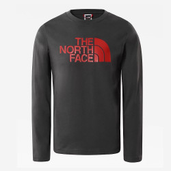 Sweat the north face
