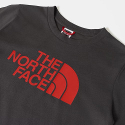 t-shirt gris rouge the north face enfant
