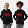 Sweat à capuche The North Face noir enfant