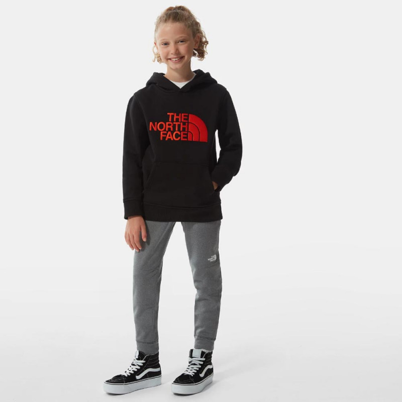 Sweat à capuche The North Face
