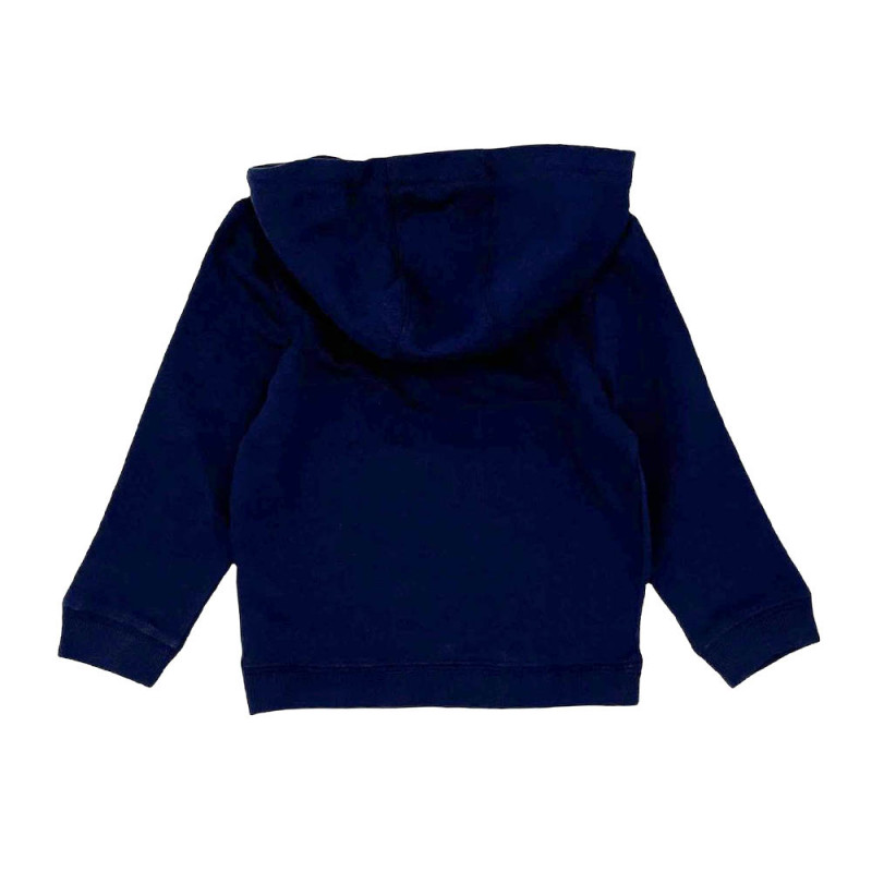 Sweatshirt à capuche Lacoste Enfant en coton chez DM'Sports