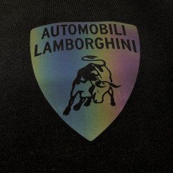 Sweat à col rond Automobili Lamborghini 72XBI007