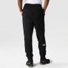 Pantalon de survêtement The North Face