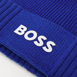 BOSS ASIC