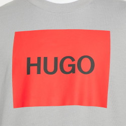 Logo Hugo
