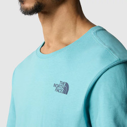 THE NORTH FACE REDBOX CELEBRATION TEE