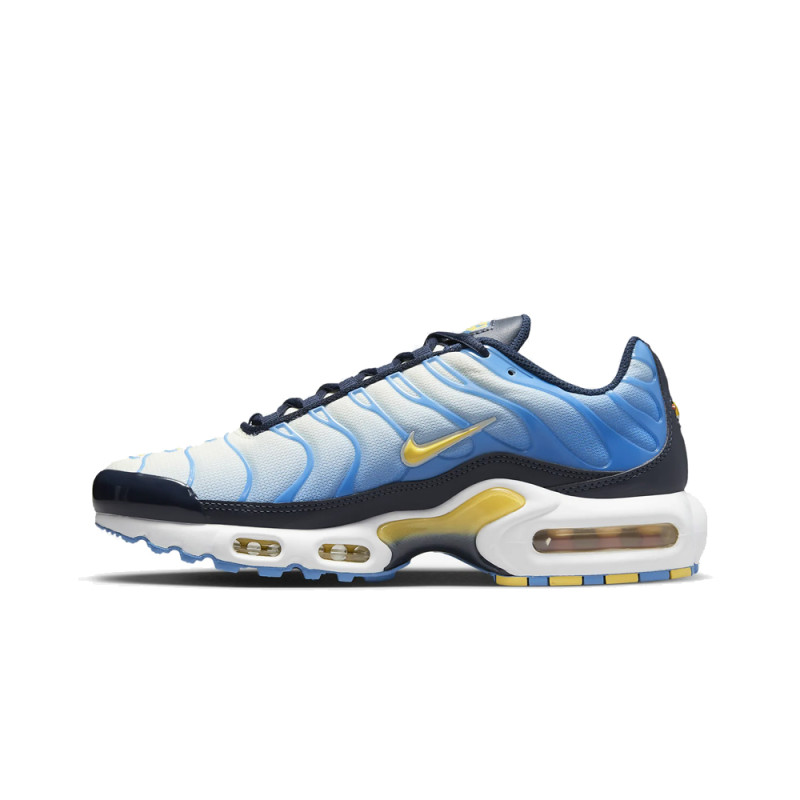 NIKE AIR MAX PLUS TN BLANCHES ET BLEUES