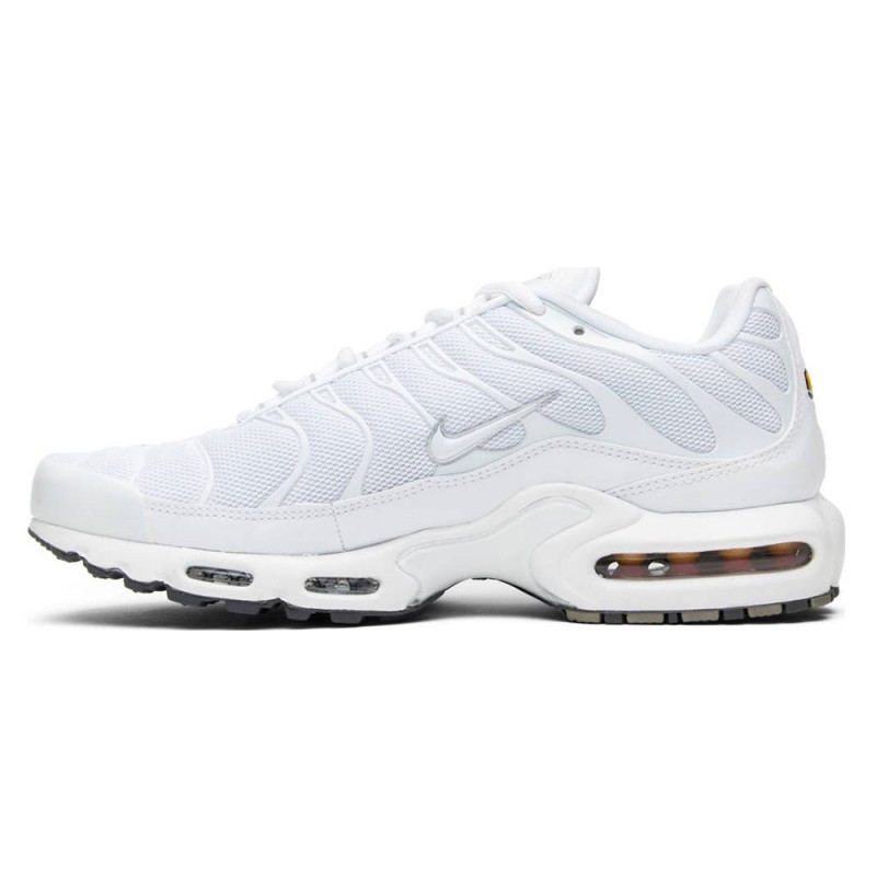 Baskets Nike Air Max Plus