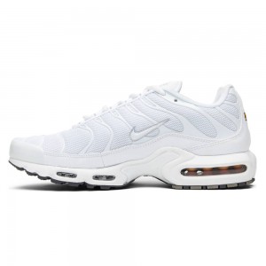 Baskets Nike Air Max Plus