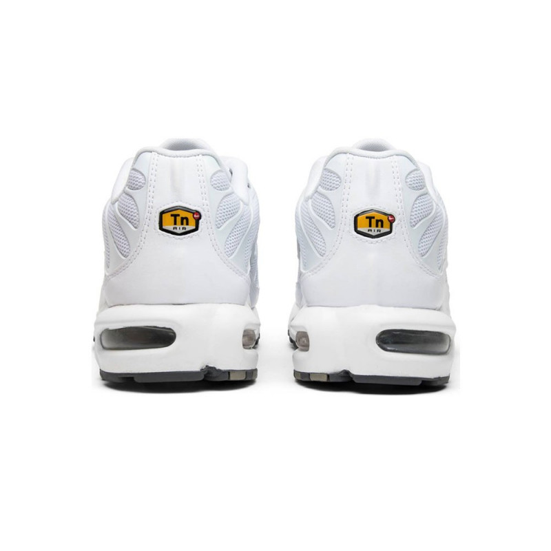 Baskets Nike Air Max Plus