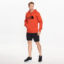 SHORT DE SPORT THE NORTH FACE