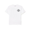 T-SHIRT LACOSTE IMPRIMÉ EN JERSEY ÉPAIS DE COTON BLANC
