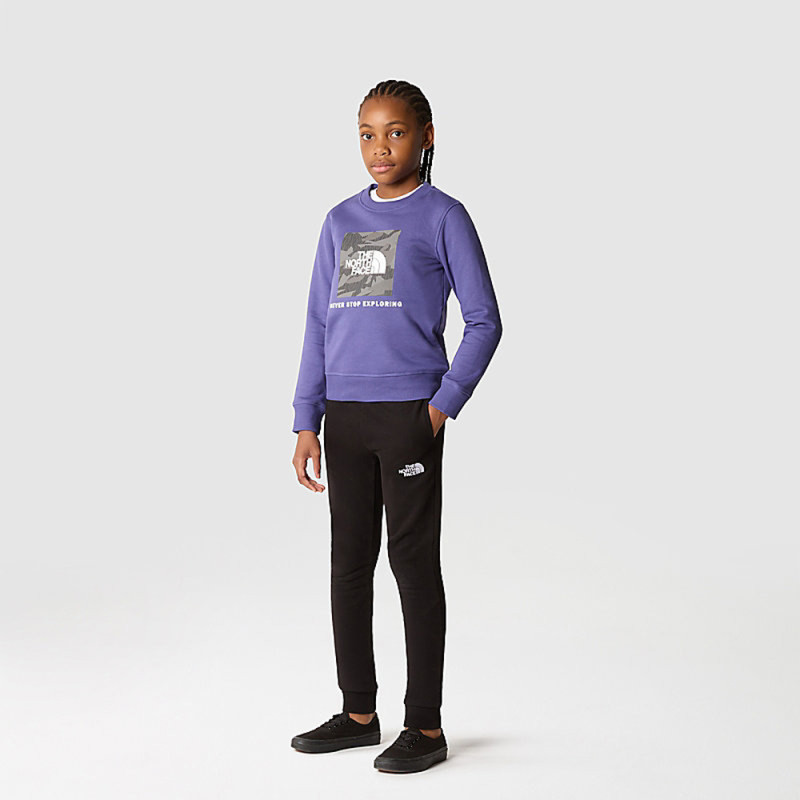 SWEAT THE NORTH FACE