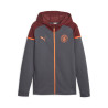 VESTE À CAPUCHE CASUALS PUMA MANCHESTER CITY GRISE