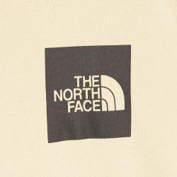 LOGO THE NORTH FACE