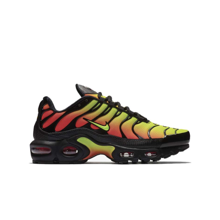 Baskets Nike Air Max Plus TN SE Noires et Oranges