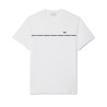 T-shirt Homme Lacoste – Blanc – Jersey de Coton & Liseré Contrastant