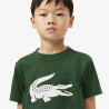 T-shirt Enfant Lacoste Sport – Vert – Coton Technique & Coupe Oversize