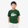 T-shirt Enfant Lacoste Sport – Vert – Coton Technique & Coupe Oversize