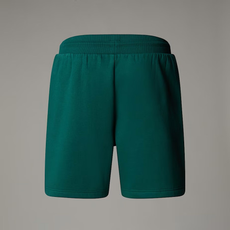 Short The North Face NSE Box – Vert – Confort Quotidien & Élégance Urbaine