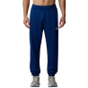 Pantalon Reaxion 2.0 Jogger  Bleu