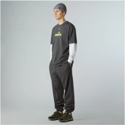 T-shirt The North Face Expedition Celebration Gris