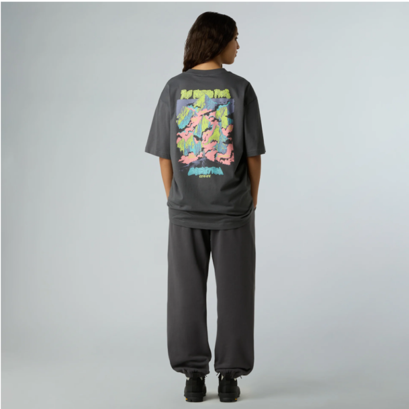 T-shirt Oversize The North Face Expedition Celebration – Gris Anthracite | DM’Sports