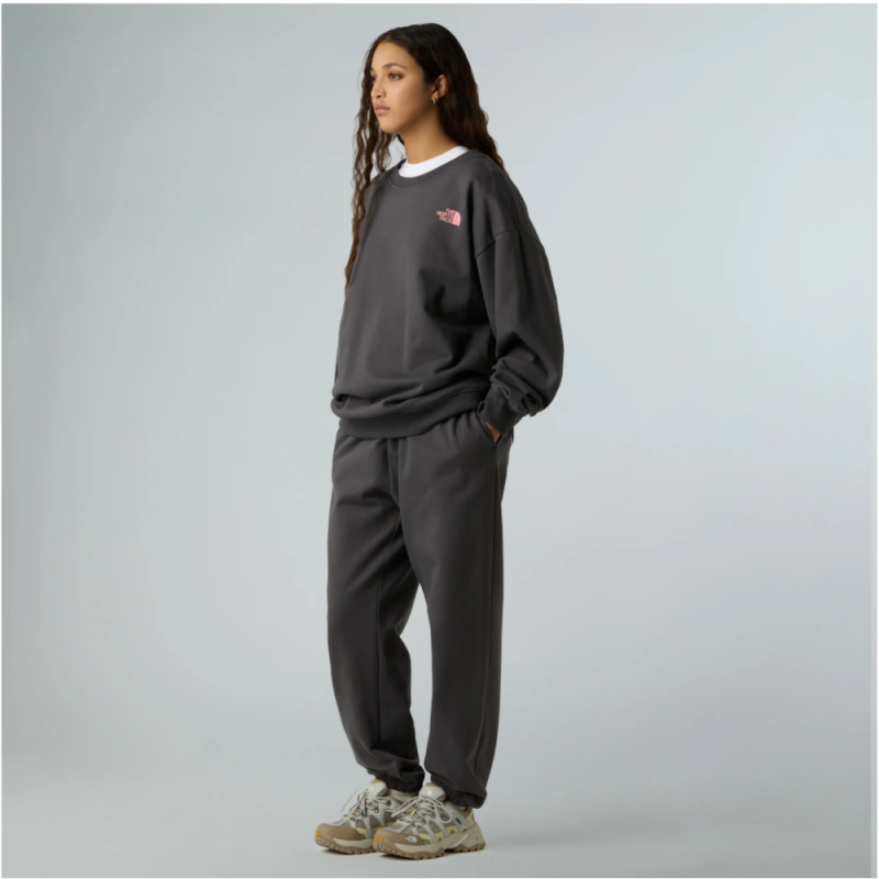 Pantalon Jogger Relaxed The North Face Gris