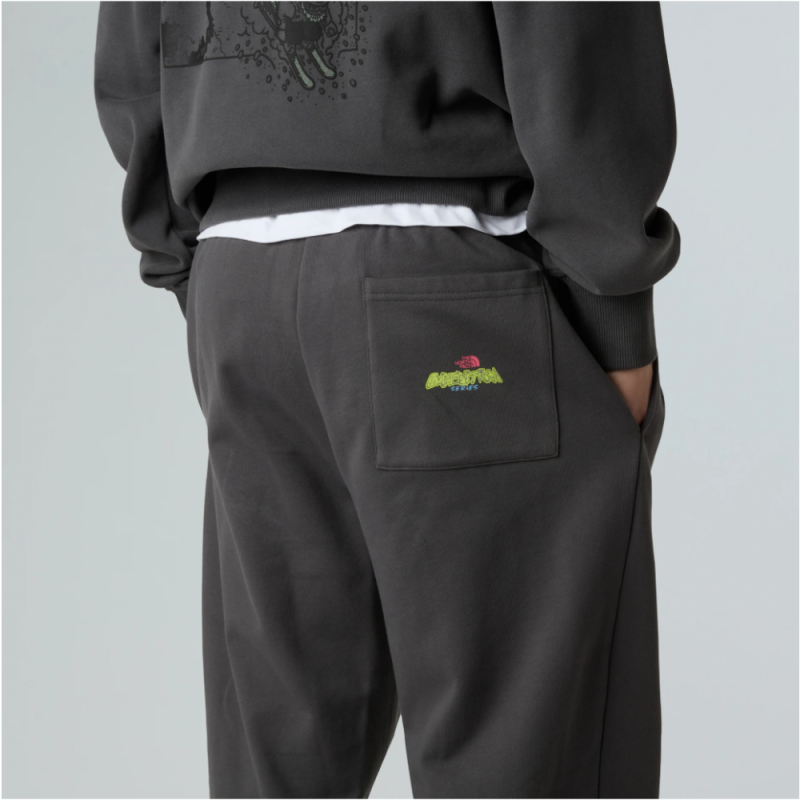 Jogger Relaxed The North Face Expedition Celebration – Gris Anthracite | DM’Sports