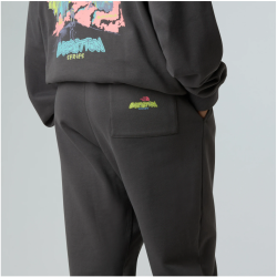 Pantalon The North Face Gris