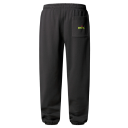 Pantalon Jogger Relaxed The North Face Expedition Celebration – Gris Anthracite– Confort & Style Urbain