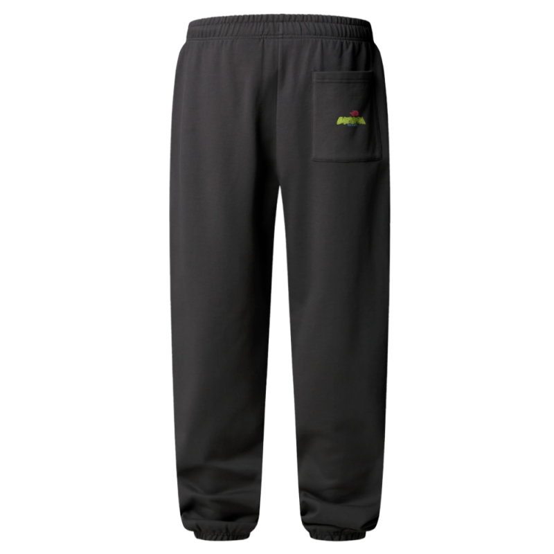 Pantalon Jogger Relaxed The North Face Gris