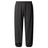 Pantalon Jogger Relaxed The North Face Expedition Celebration Gris
