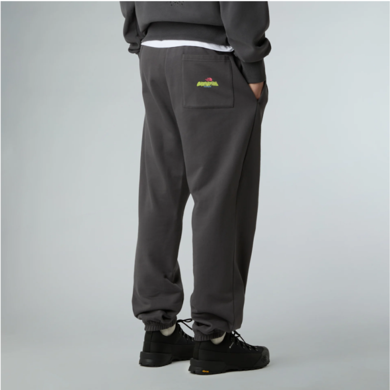 Jogger Relaxed The North Face Expedition Celebration – Gris Anthracite | DM’Sports