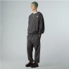 Jogger Relaxed The North Face Expedition Celebration – Gris Anthracite | DM’Sports