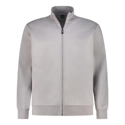 Veste zippée Skaz BOSS grise