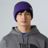 Bonnet The North Face TNF Logo Box Cuffed – Violet Peak Purple– Maille Côtelée & Logo Patch