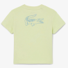 T-shirt Sport  Ultra Dry pour Enfant  avec Imprimé Crocodile au Dos -Lacoste  vert