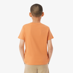 T-shirt en coton imprimé graphique Confortable Sportswear avec Crocodile Brodé-Lacoste  Orange