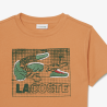 T-shirt en coton imprimé graphique Confortable Sportswear avec Crocodile Brodé-Lacoste  Orange