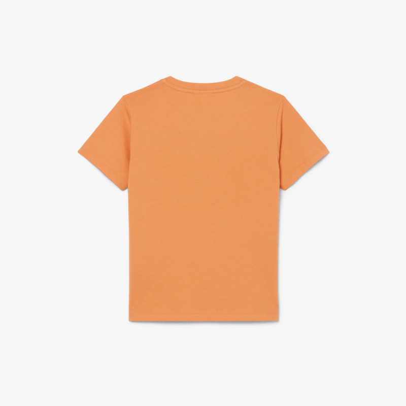 T-shirt en coton imprimé graphique Confortable Sportswear avec Crocodile Brodé-Lacoste  Orange