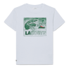 T-shirt en coton imprimé graphique Confortable Sportswear avec Crocodile Brodé-Lacoste  bleu clair