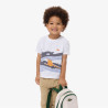 T-shirt Enfant en Coton avec Imprimé Crocodile Aquarelle Confortable et Sportif LACOSTE blanc