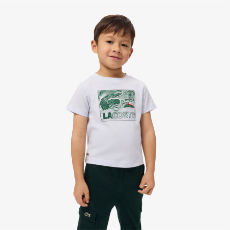 T-shirt enfant coton imprimé graphique LACOSTE bleu clair