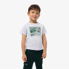 T-shirt enfant coton imprimé graphique LACOSTE bleu clair