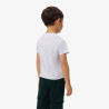 T-shirt enfant coton imprimé graphique LACOSTE bleu clair
