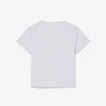 T-shirt enfant coton imprimé graphique LACOSTE bleu clair