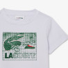 T-shirt enfant coton imprimé graphique LACOSTE bleu clair